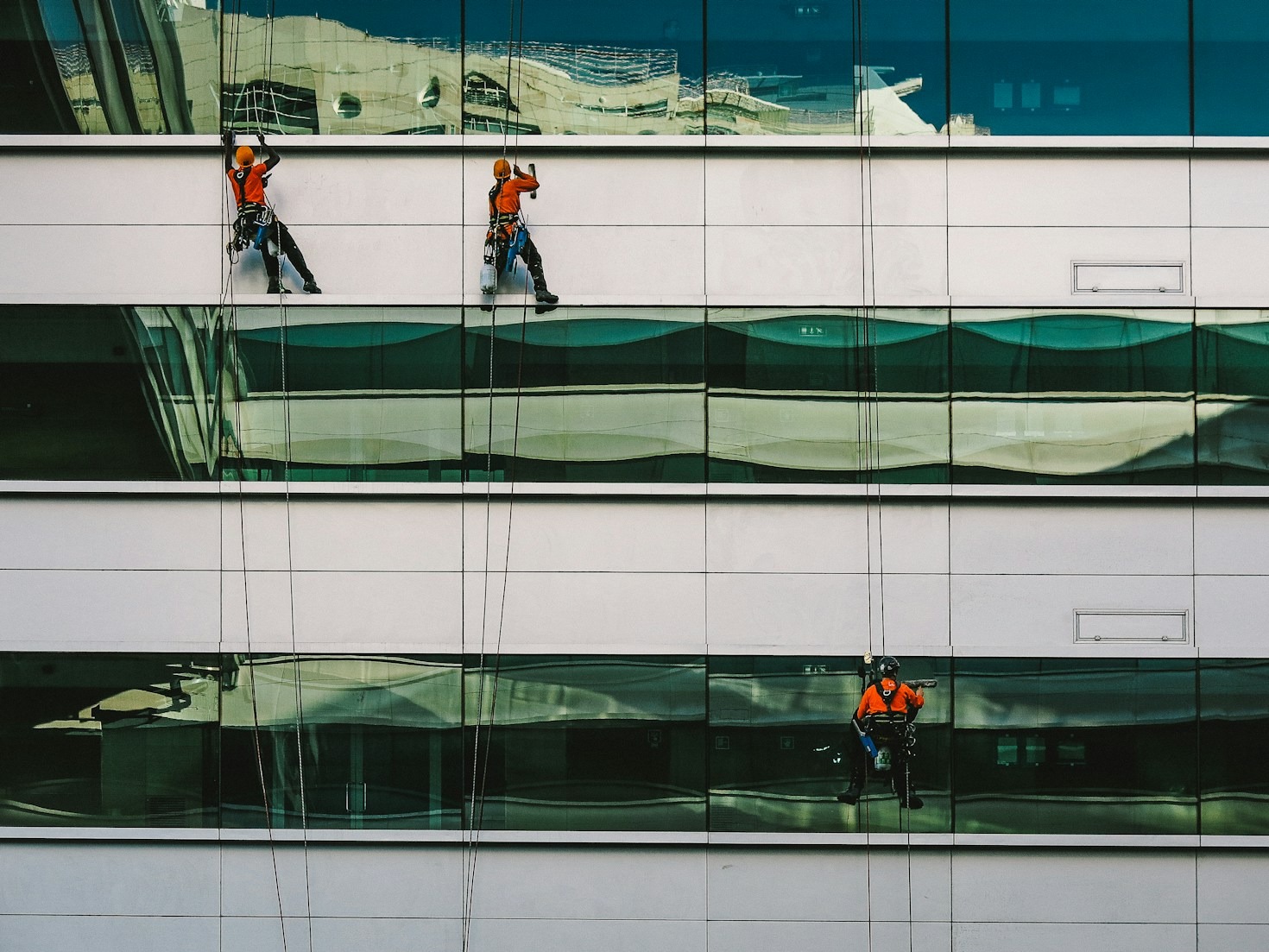 How to Maintain Healthy Living Environments Effectively